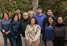 De Tocopilla a Perquenco y más de 600 mil usuarios: Así es SISTAM el software ganador del Premio Pfizer