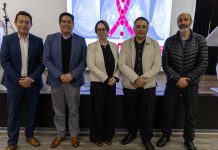 Proyecto Fondef desarrolló sistema para cuantificar densidad mamaria con IA como apoyo en pesquisa de cáncer