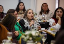 Alta participación de establecimientos educacionales de la región marca el Encuentro de Admisión 2027