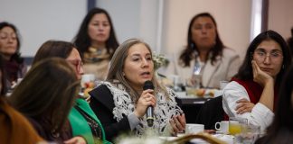 Alta participación de establecimientos educacionales de la región marca el Encuentro de Admisión 2027