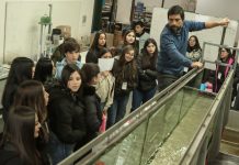 Desde Vallenar: 80 estudiantes del Liceo San Francisco visitan la Facultad de Ingeniería